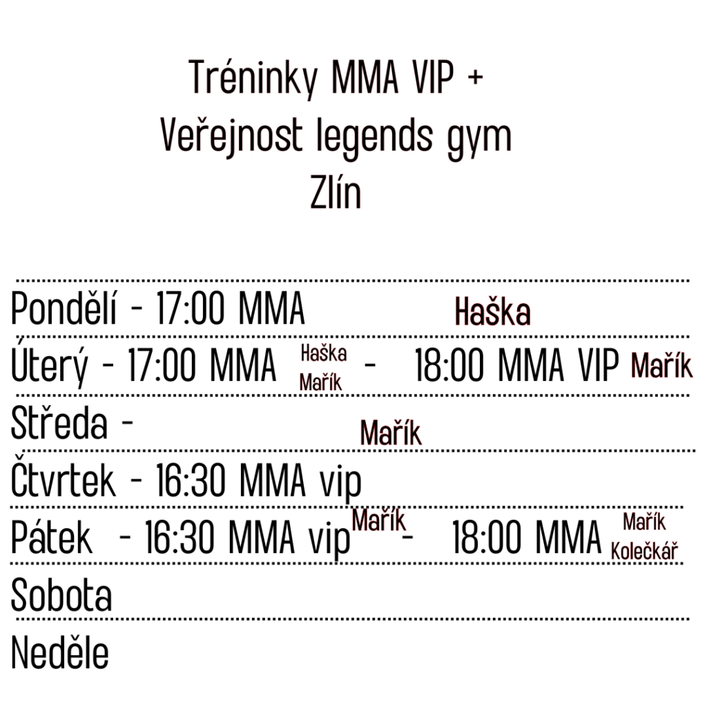 Tréninky MMA VIP + Veřejnost legends gym Zlín