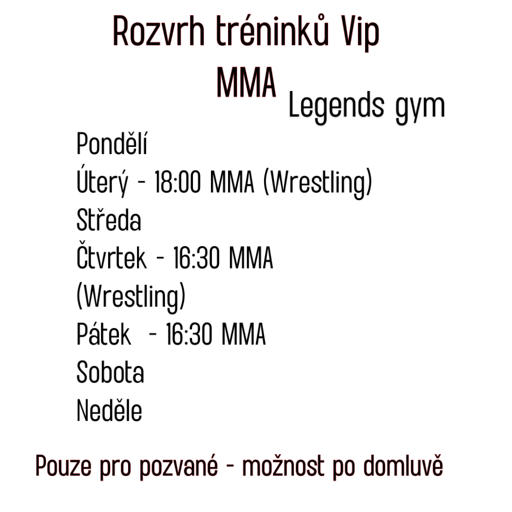Vip MMA - Legends