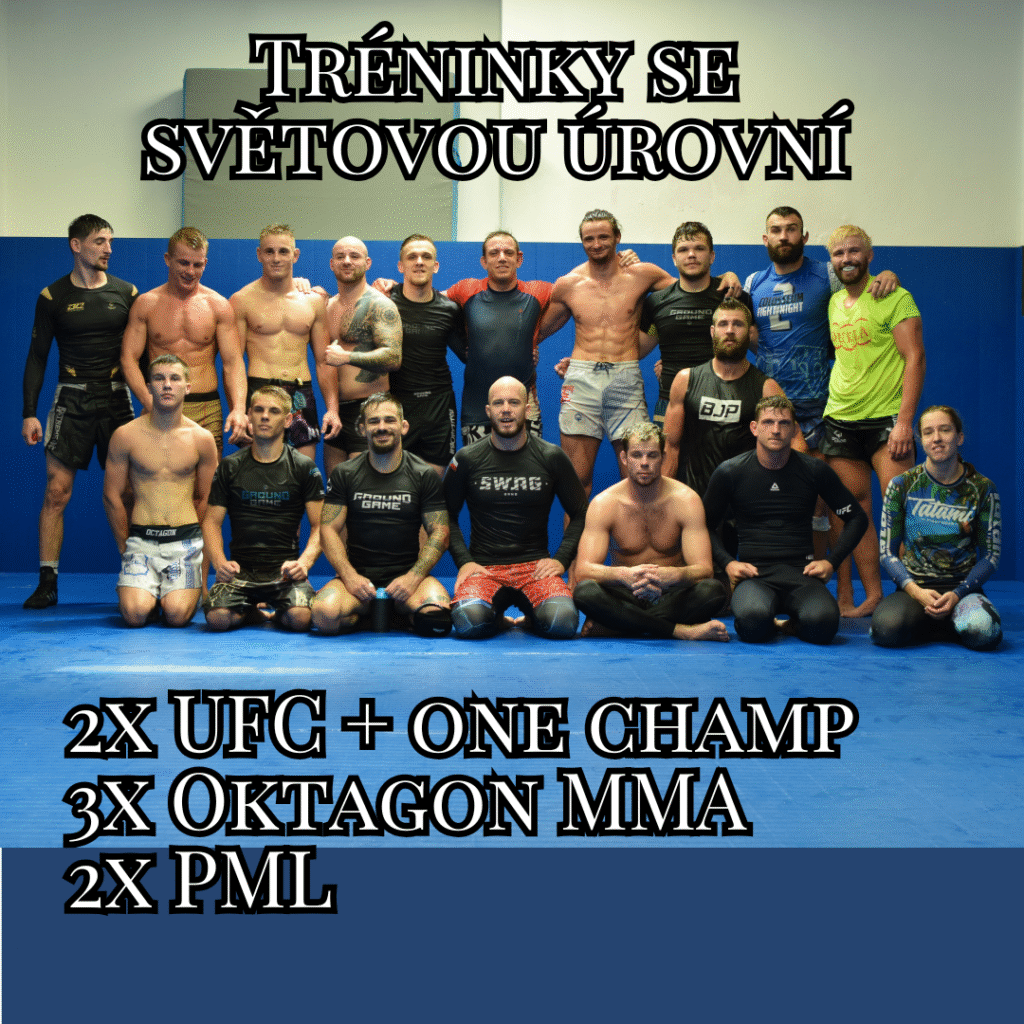 Tréninky MMA