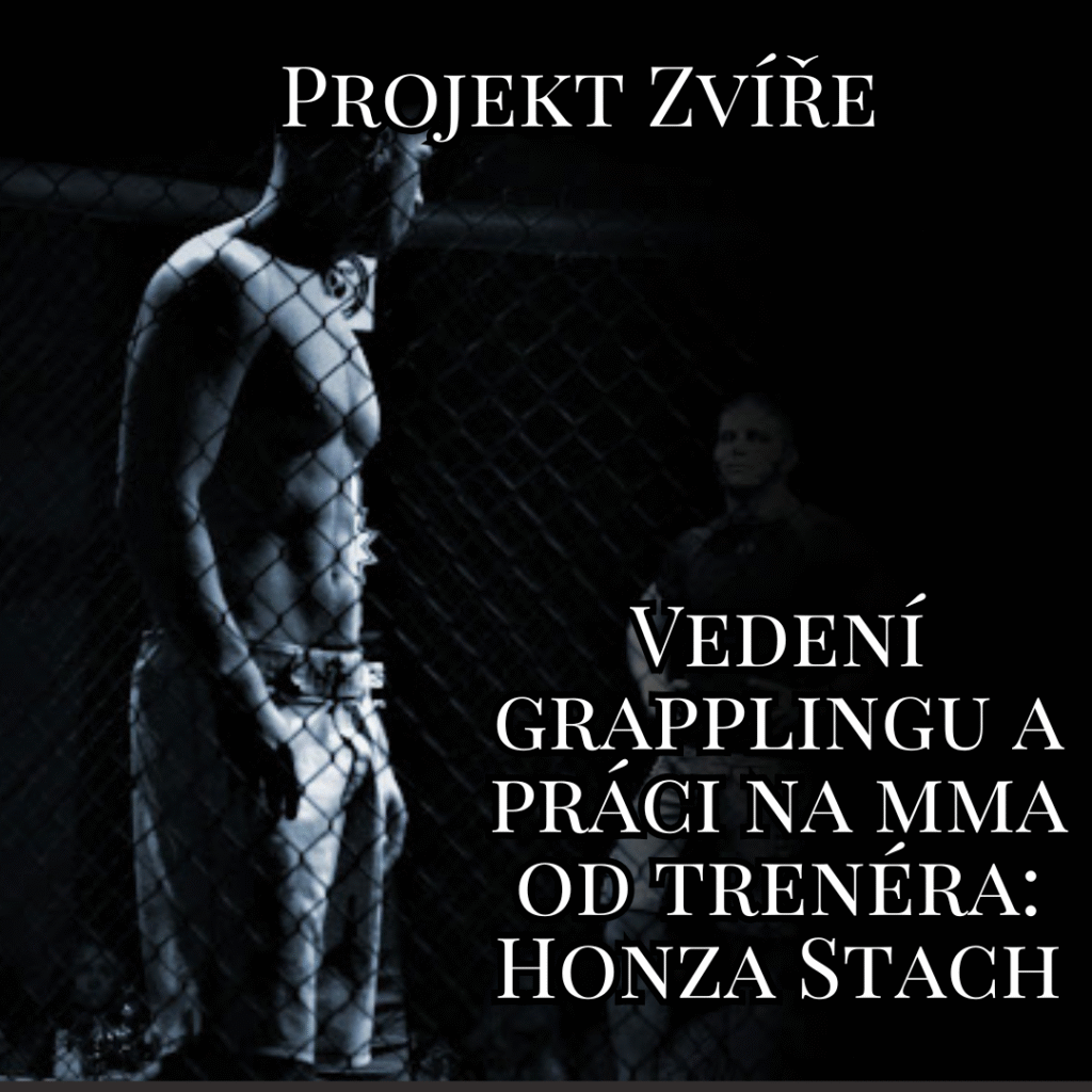 Projekt Zvíře Honza Stach