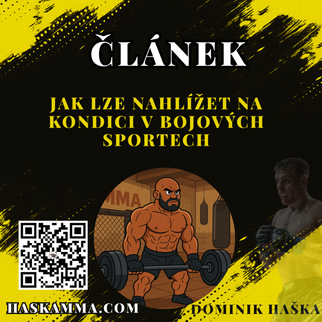 Článek o kondici v bojových sportech