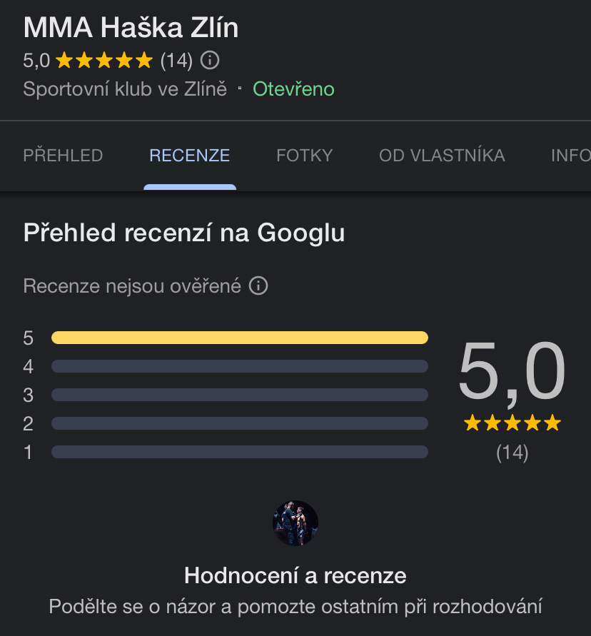Hodnocení recenze google