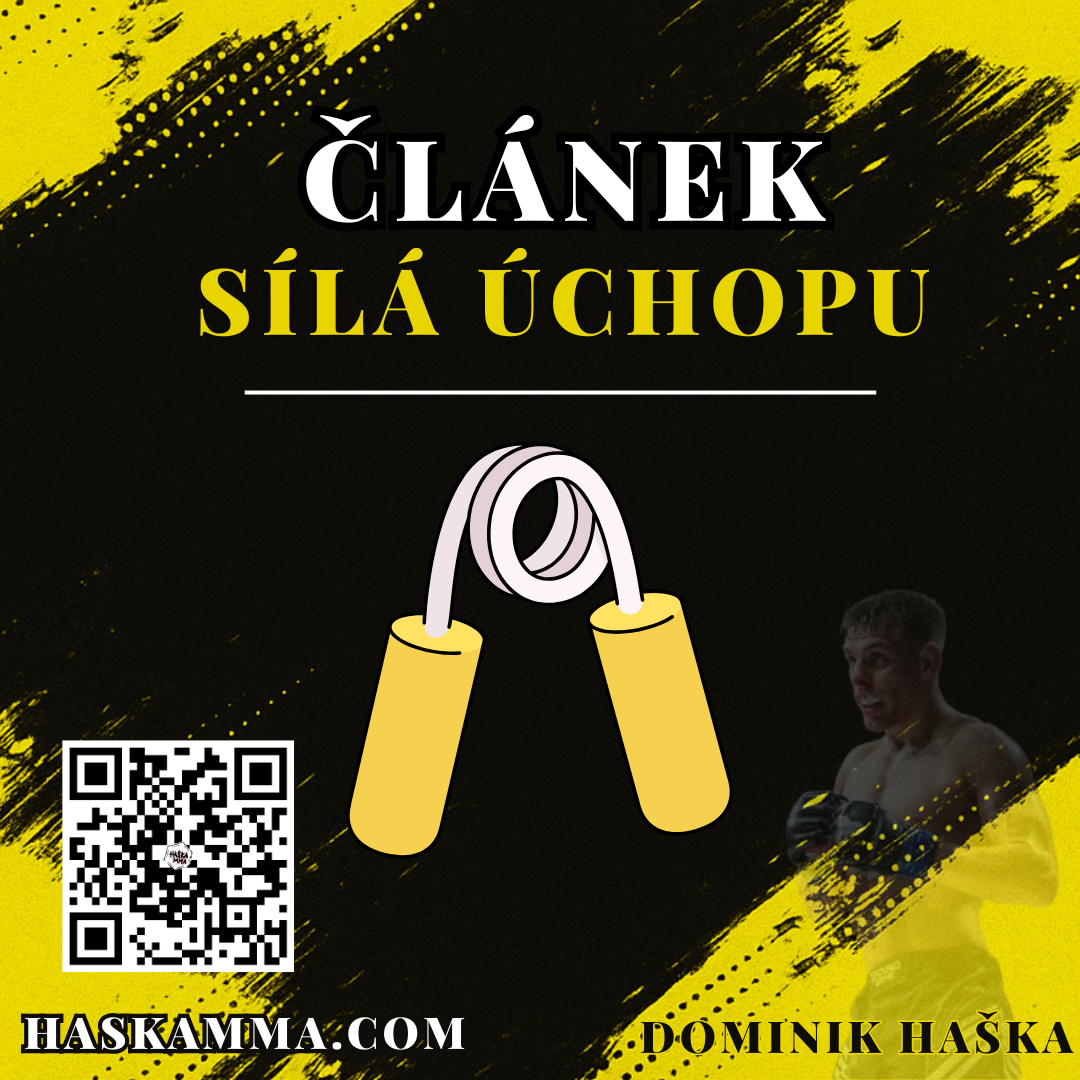 Článek o síle úchopu