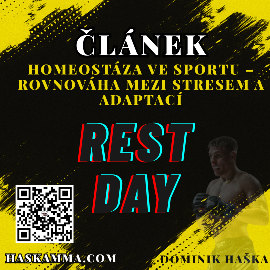 Přečtete si více ze článku Homeostáza ve sportu – Rovnováha mezi stresem a adaptací