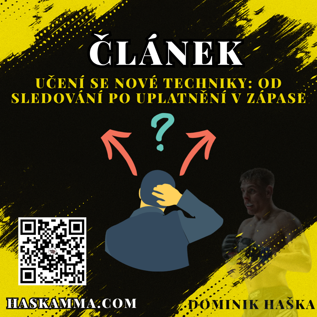 Přečtete si více ze článku Učení se nové techniky: Od sledování po uplatnění v zápase