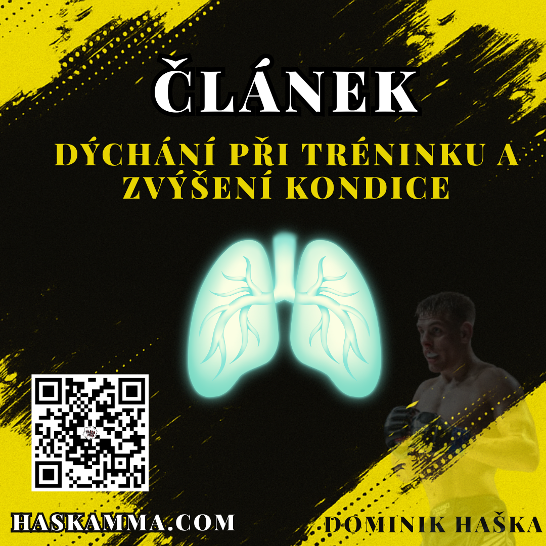 Přečtete si více ze článku Dýchání při tréninku a zvýšení kondice