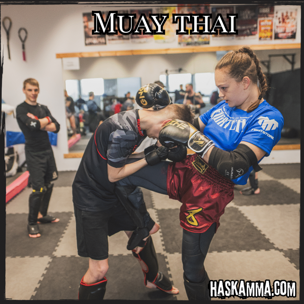 Muay Thai (1)