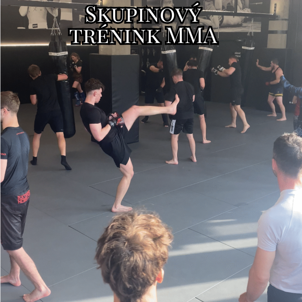 Skupinový trénink - Haška MMA a Zlín