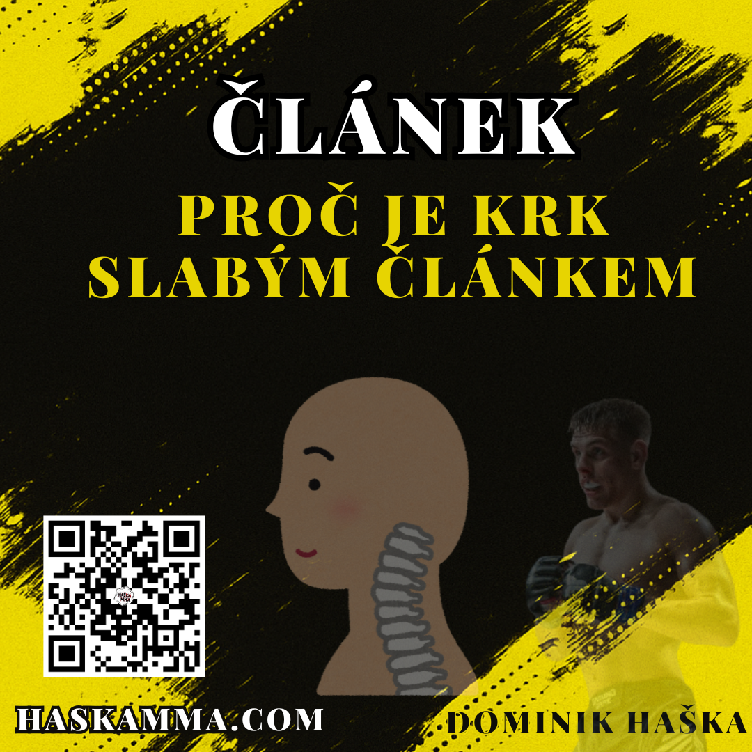 Přečtete si více ze článku Proč je krk slabým článkem