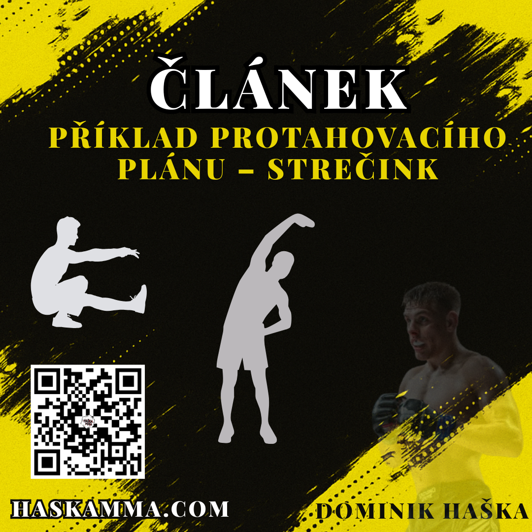 Přečtete si více ze článku Protahovací rutina