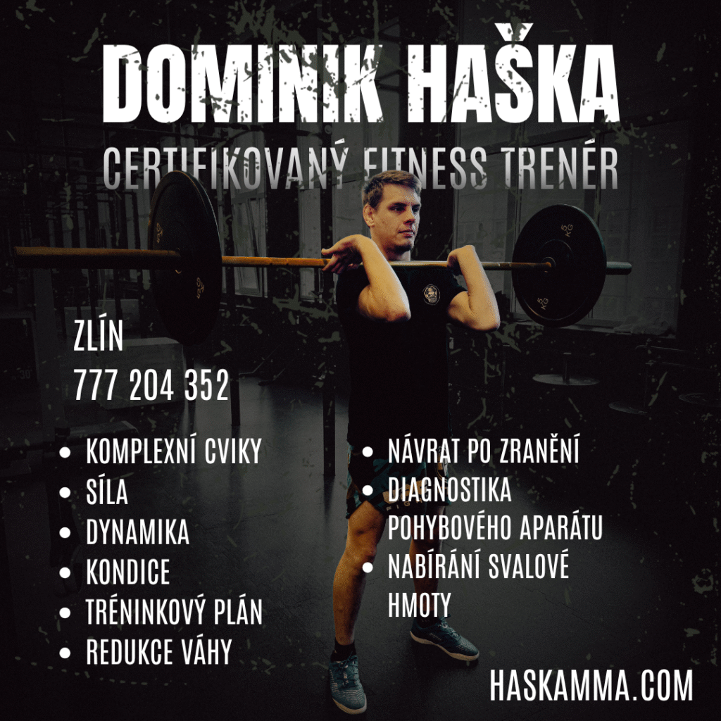 Dominik Haška - 1080x1080