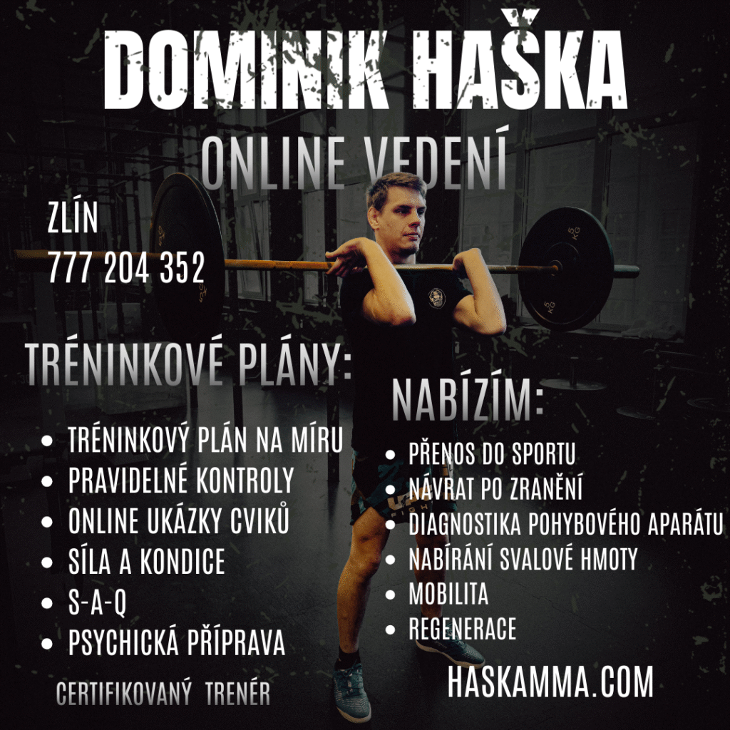 Tréninkové plány